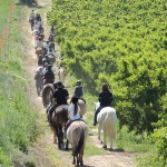 EXCURSIÓN HÍPICA + DESAYUNO CAMPESTRE