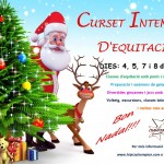 CURSET INTENSIU D'EQUITACIÓ NADAL 2016