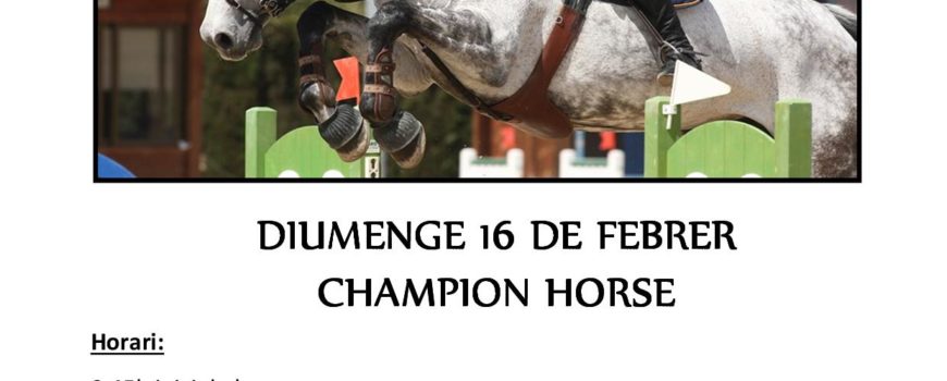 CST CHAMPION HORSE 16 FEBRER