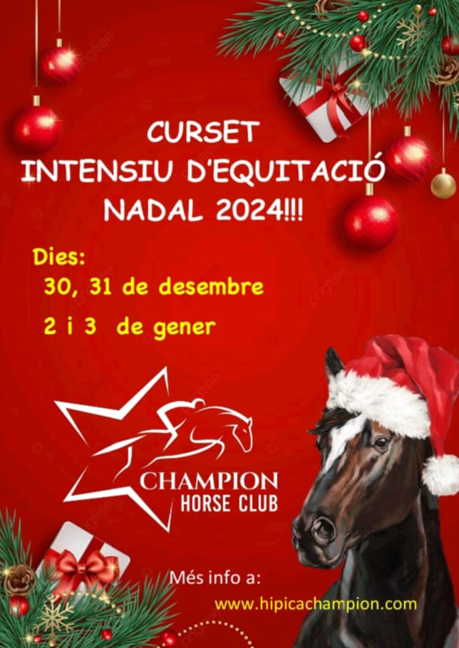 CURSET NADAL 2